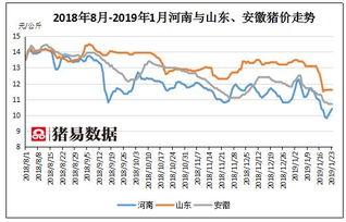 2019年三地走势图,增长与挑战并存