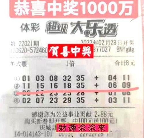 360大乐透开奖结果,惊喜大奖花落谁家？