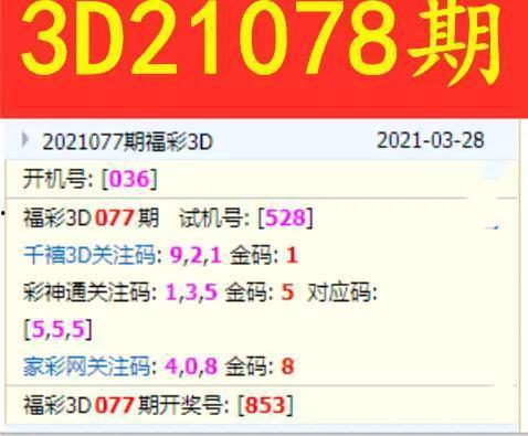 3D今日正好,今日科技前沿概览