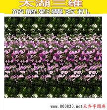 太湖图3d,揭秘水乡风貌的立体画卷